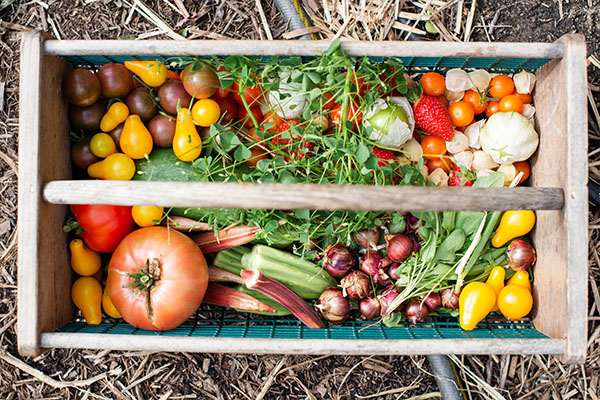 Fresh vegetables