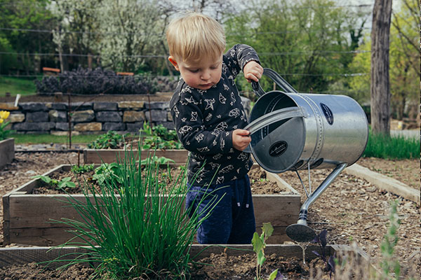 Boy watering plants