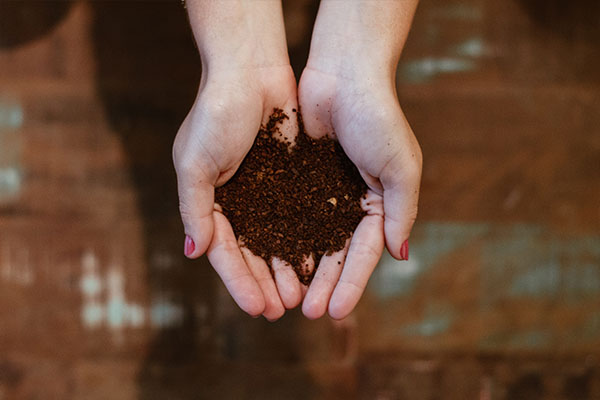 Holding topsoil mix in hands