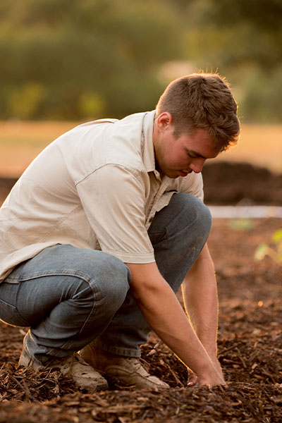 Planting with hands