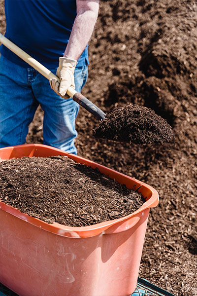 Shoveling organic compost