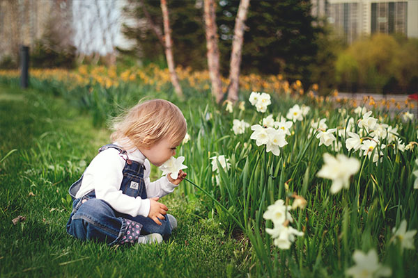 Boy smelling flowers