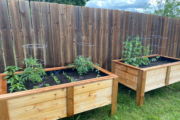 Wooden planters against fence