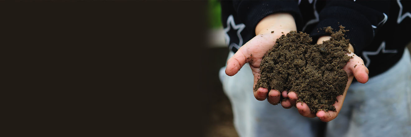 Hands holding dirt