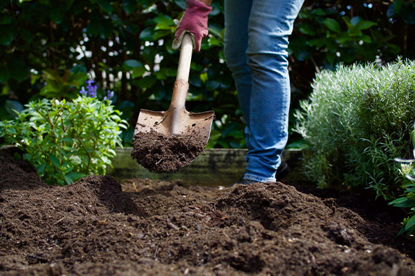 Shoveling soil and compost in garden