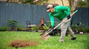 overseeding lawn