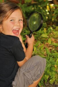 Monitor for Diseases and Pests