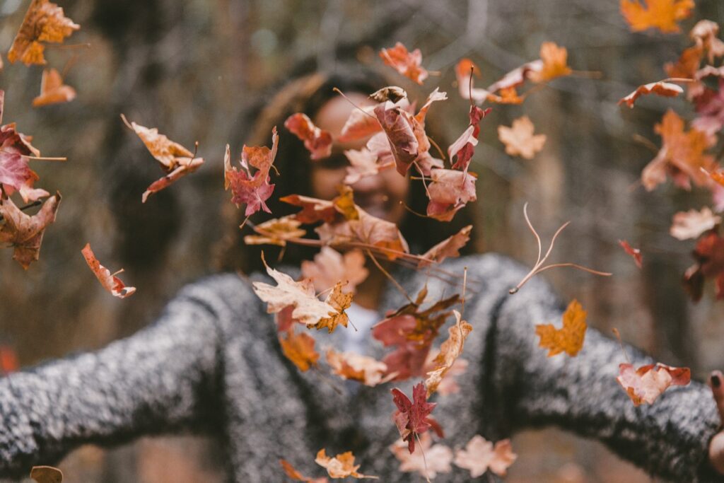 Fall is the ideal season for compost applications