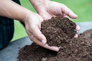 Peat garden soil