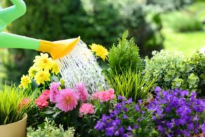 healthy flourishing flower garden soil mix
