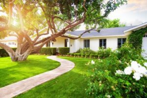 lush green lawn for curb appeal