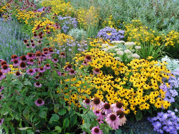 flower & perennial garden soil