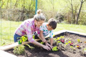 plant garden soil mix