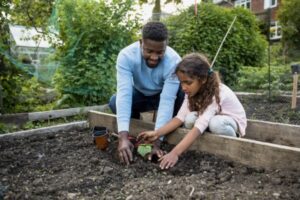 raised bed soil mix