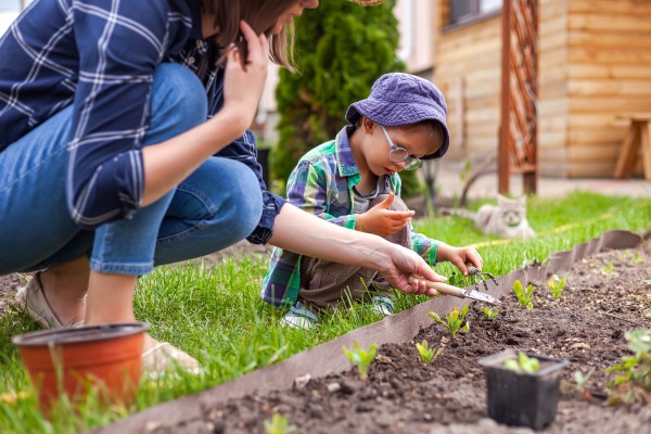 vegetable garden moisture soil