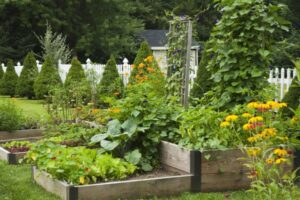 vegetable garden raised bed soil mix