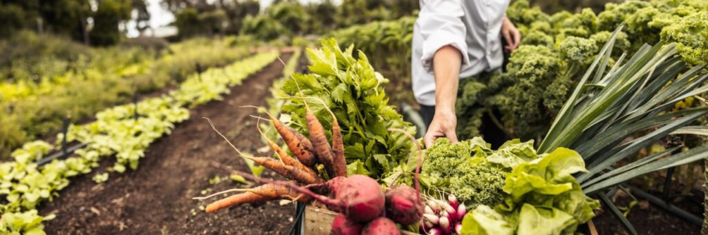 vegetable garden topsoil