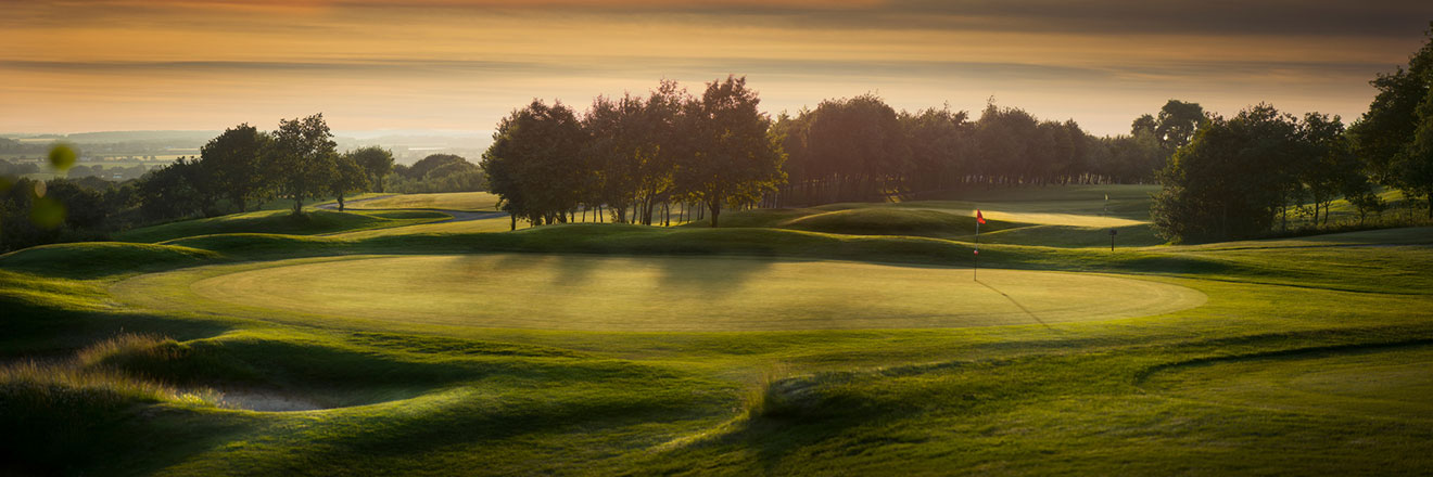 golf course specialty blend soil