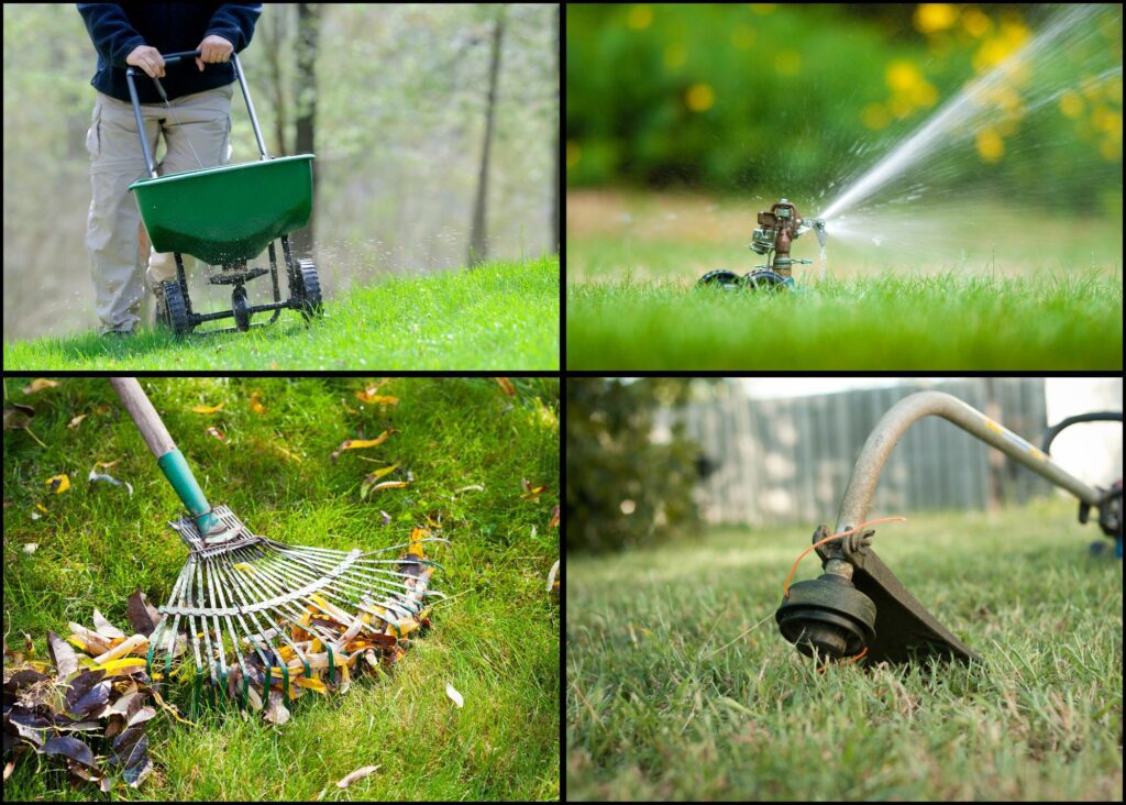 Routine Lawn Care Activities