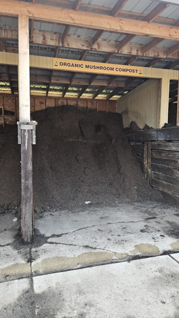 Our Mushroom Soil bin