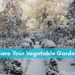 How to Prepare Your Garden for Winter