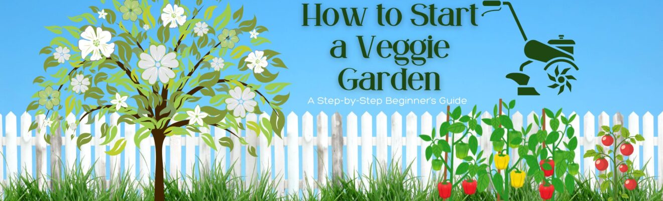 How to start a vegetable garden