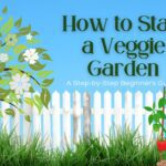 How to start a vegetable garden