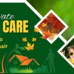 How to Fall Lawn Renovations