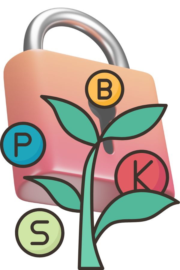 Clay soil can lock up available soil nutrients. 