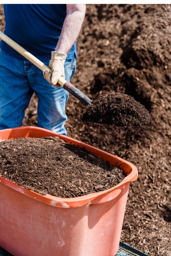 Organic compost 