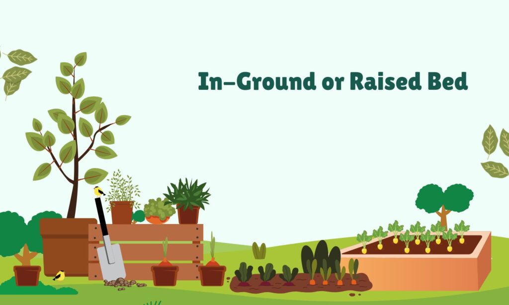 In the ground or raised bed garden