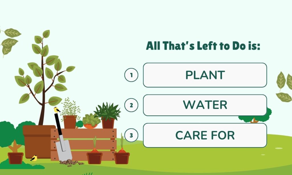 Plant, water, tend