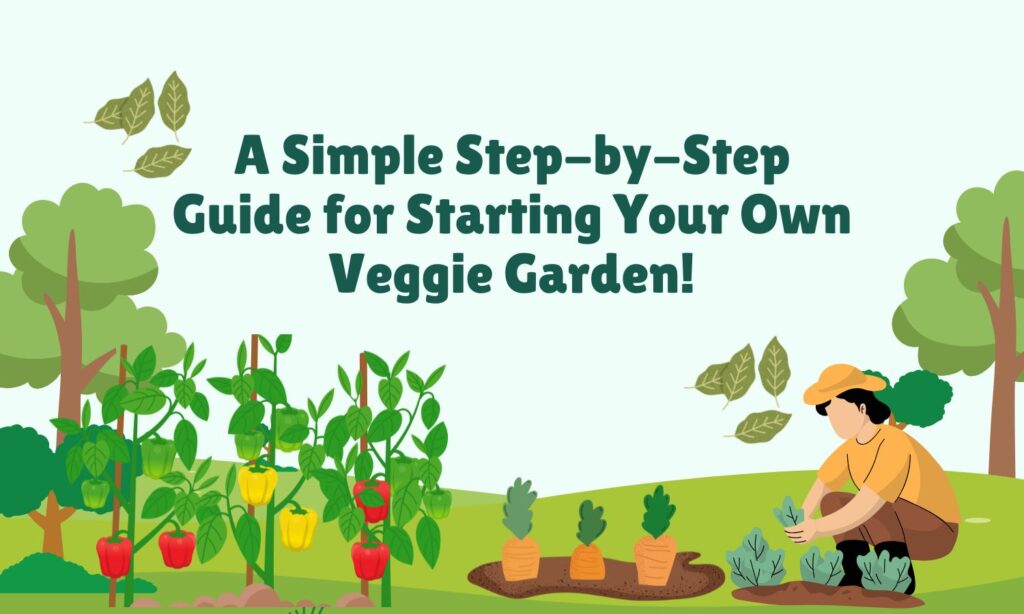 A Simple Step-by-Step Guide for Starting Your Own Veggie Garden