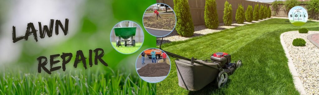 Lawn Repair