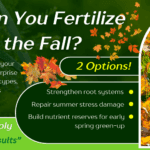 How Late Can You Fertilize Your Lawn in the Fall