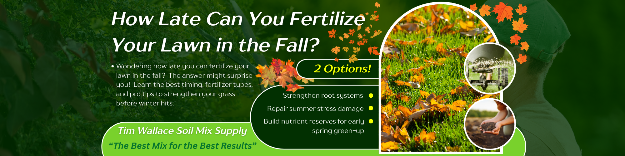 When is It Too Late to Fertilize Lawn Fall: Expert Timing Guide