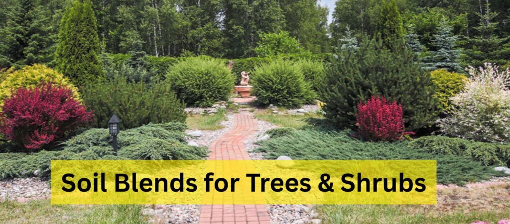 Soil Blends for Trees & Shrubs