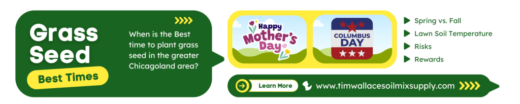 Best Time to Plant Grass Seed