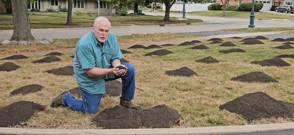 Improve your Lawn with Topdressing