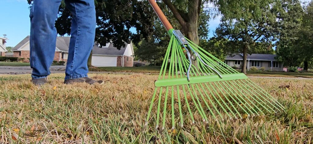 Raking the Lawn