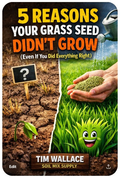 Why Didn't My Grass Seed Grow?