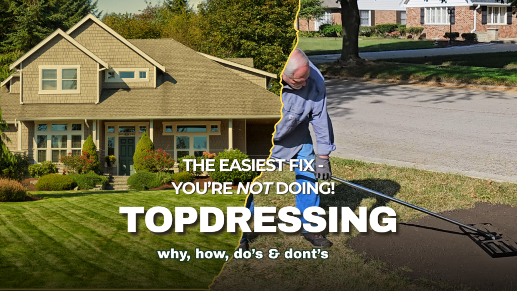 How to Topdress Your Lawn