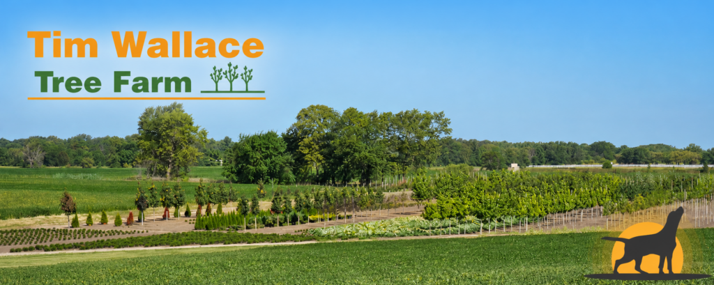 Tim Wallace Tree Farm and Nursery