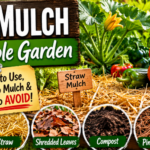 Garden Compost Options