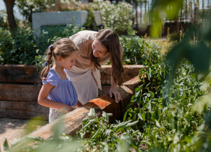 Why Garden Mulch Matters