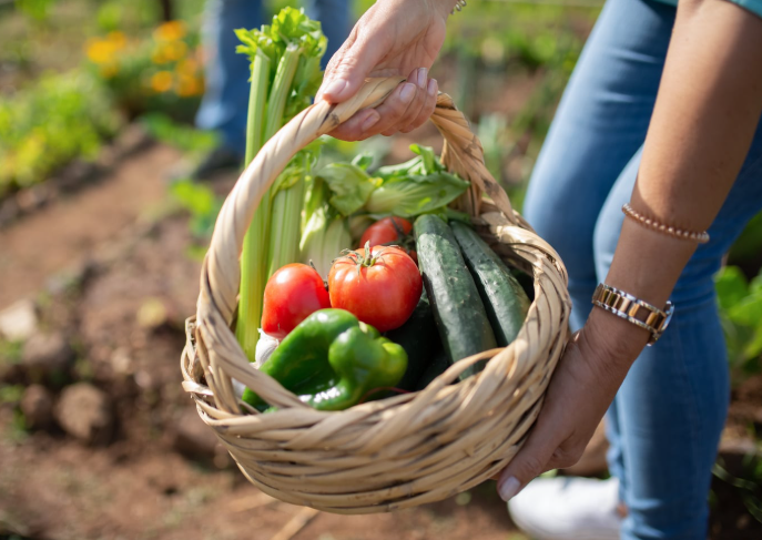 Veggie Basket