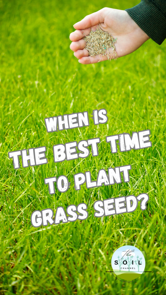 When is the Best Time to Plant Grass Seed?