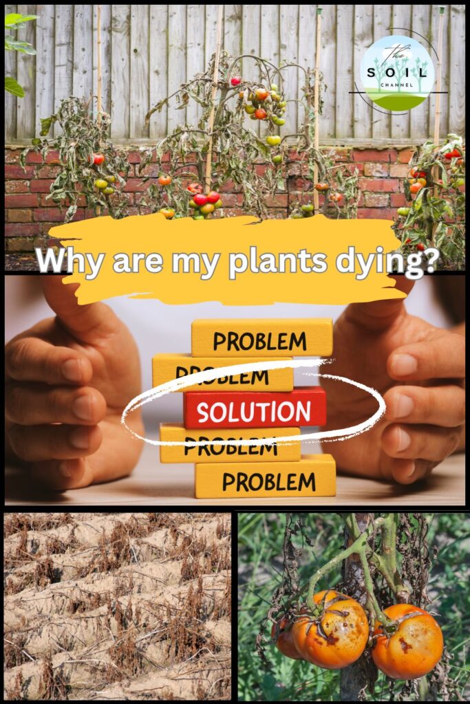 The Top 10 Garden Killers