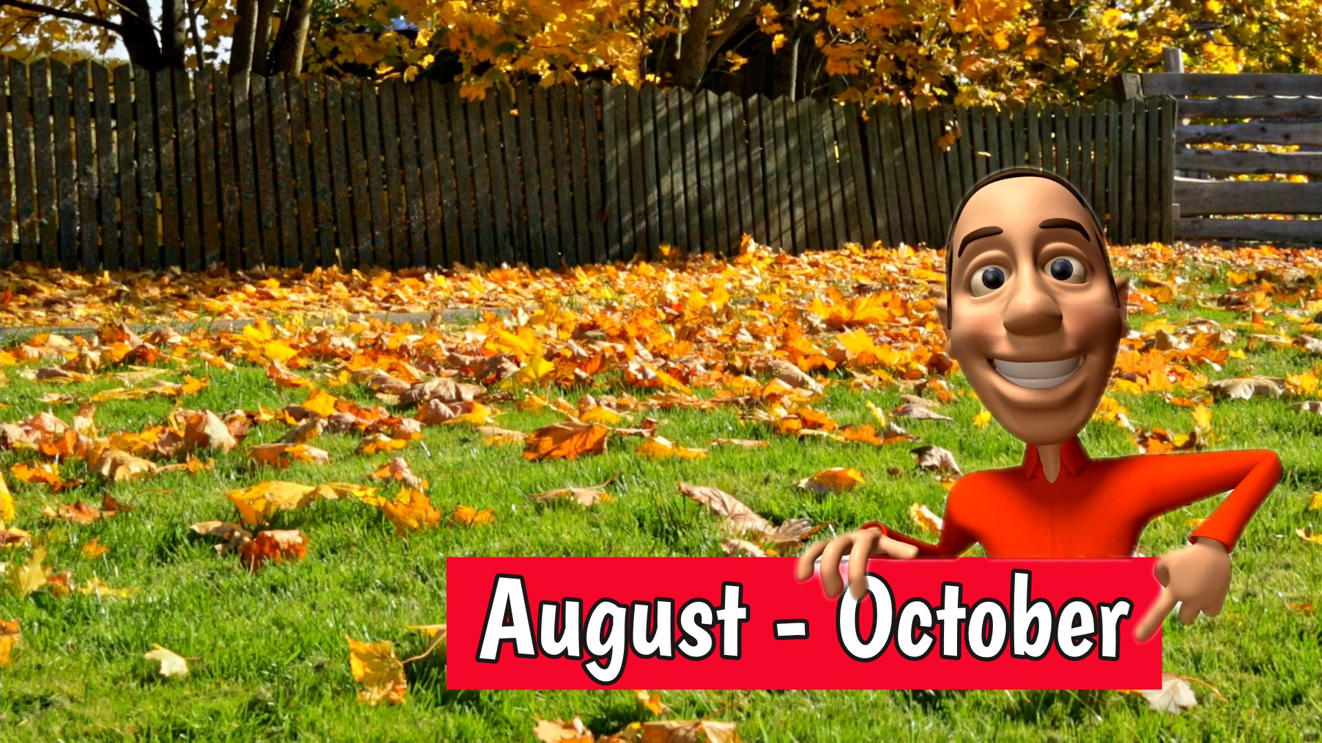 Best time to level a lawn.