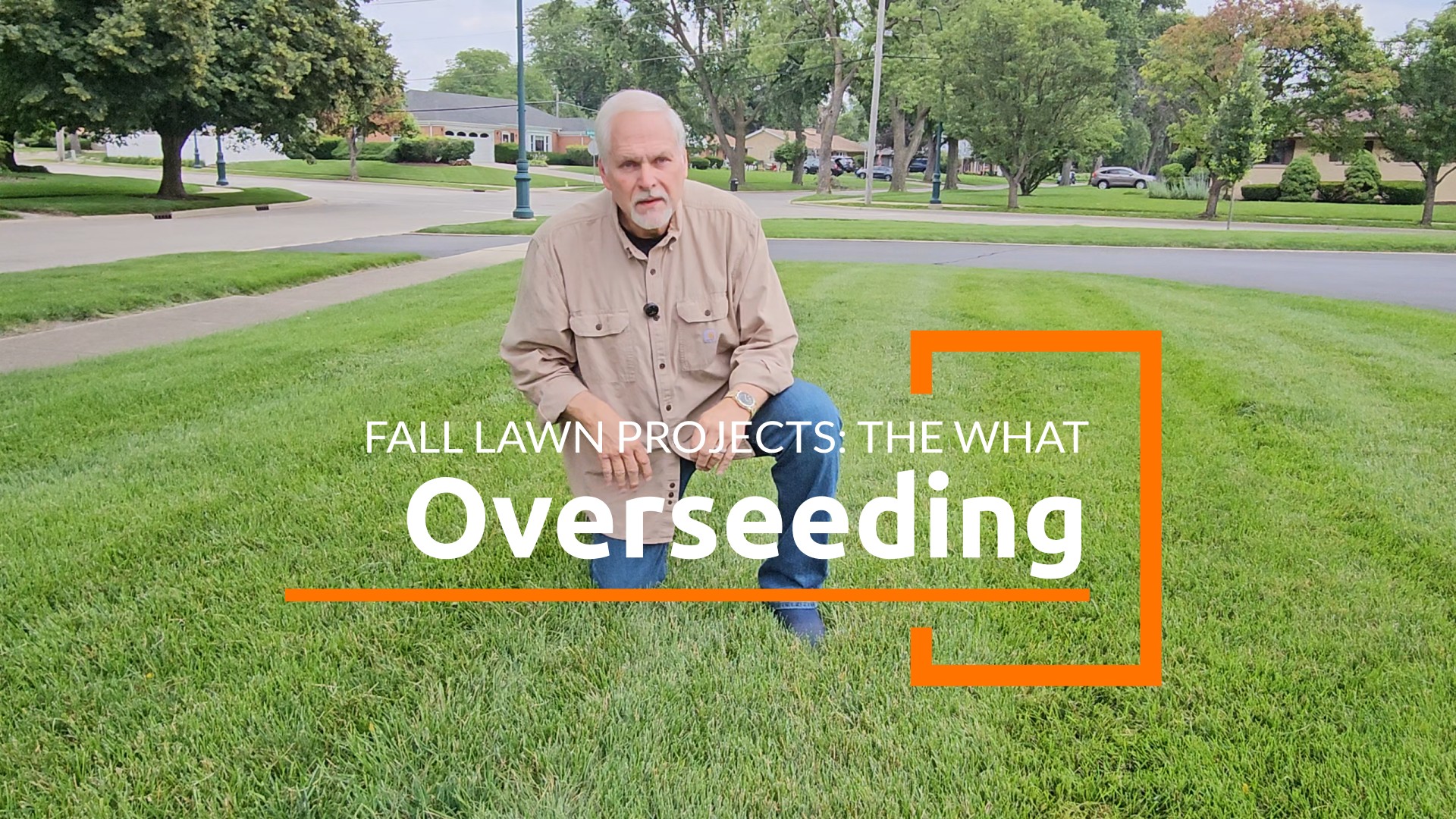 Increase turf density by overseeding.